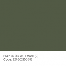 POLY BS 285 MATT MG1R (C)